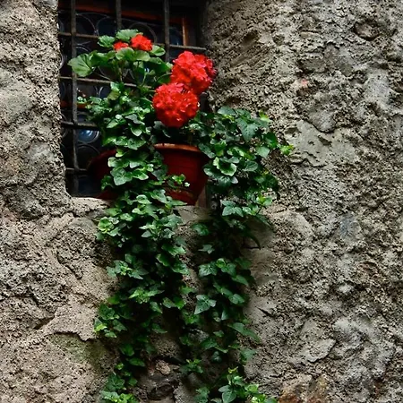 Putzerhof 3* Funes (Bolzano)